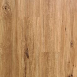 Coastal Blackbutt - 14630