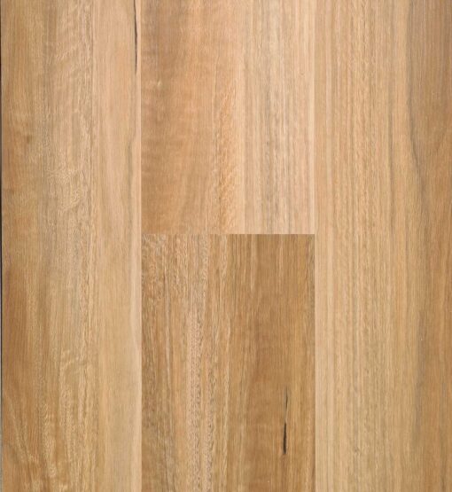 NSW Spotted Gum - 4118